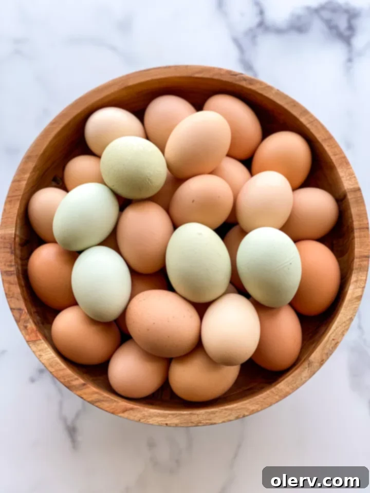 Mastering the Egg 3 A carton of fresh, brown eggs ready for cooking, highlighting their natural appeal
