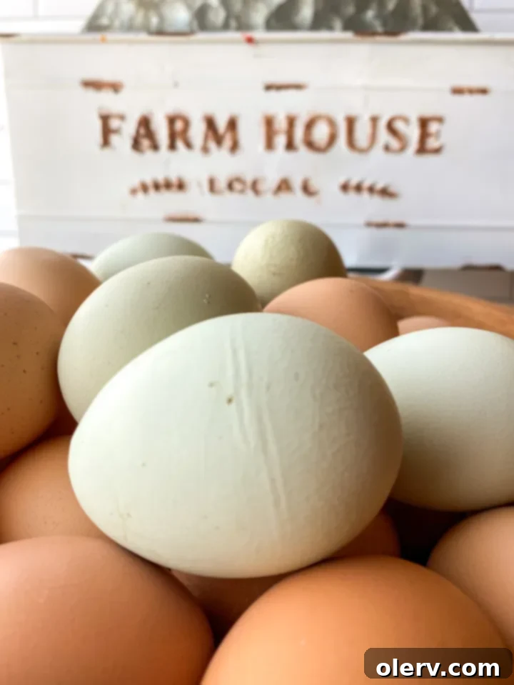 Mastering the Egg 10 A charming basket filled with fresh, rustic brown eggs, evoking a farm-fresh feel