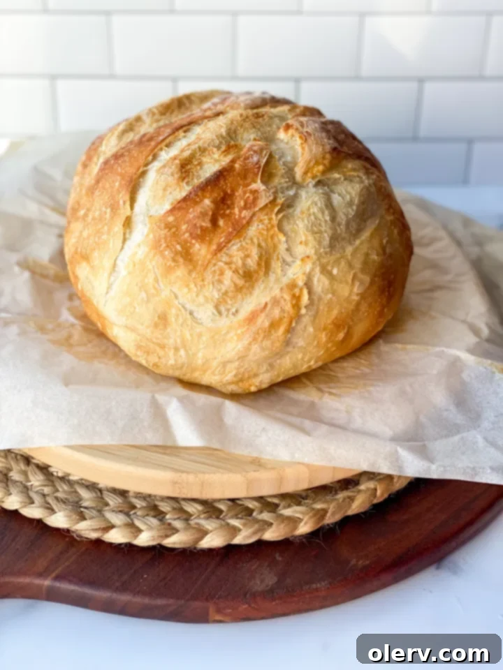 Artisan Dutch Oven Sourdough 2 Freshly baked sourdough bread in a Dutch oven