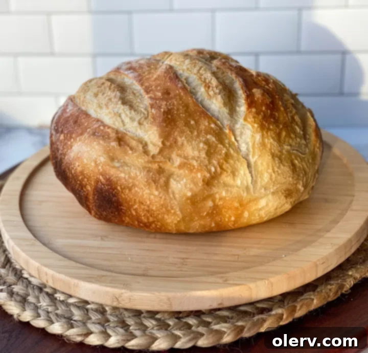 Artisan Dutch Oven Sourdough 4 A perfectly proofed sourdough dough ball in a proofing basket