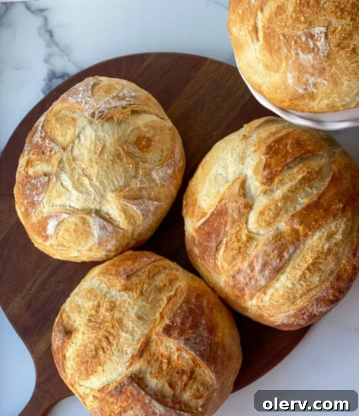 Artisan Dutch Oven Sourdough 8 A freshly baked golden-brown sourdough loaf