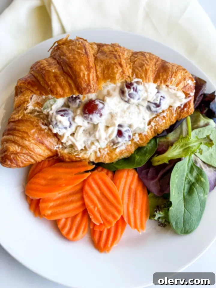 Red grapes and other ingredients for chicken salad