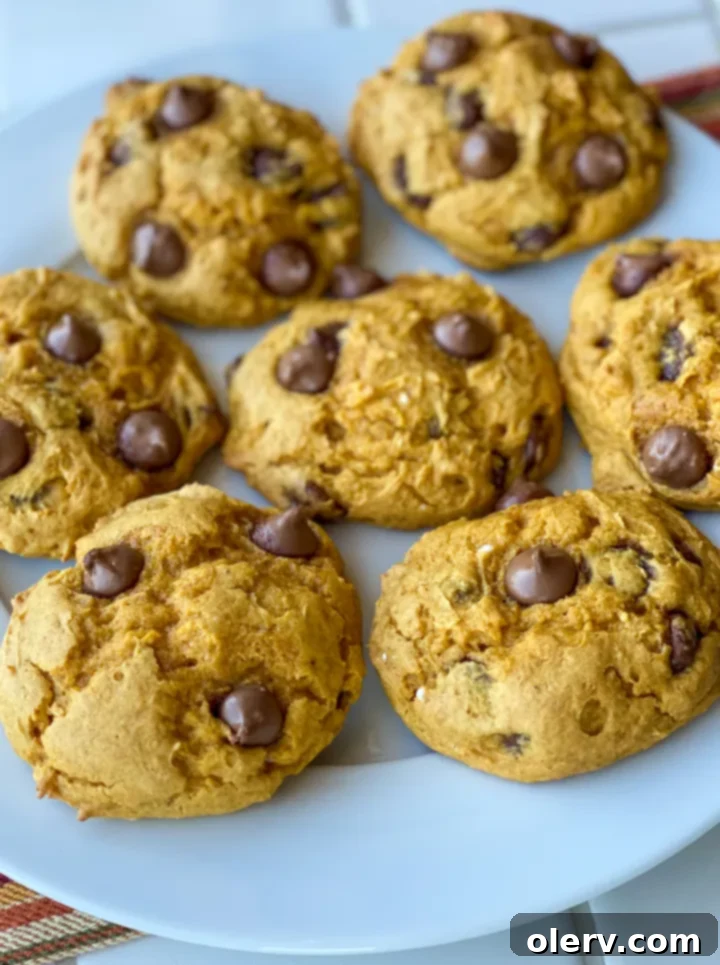 Easy 3-Ingredient Pumpkin Chocolate Chip Cookies 2 Delicious 3-ingredient pumpkin chocolate chip cookies stacked on a plate, ready to be enjoyed.