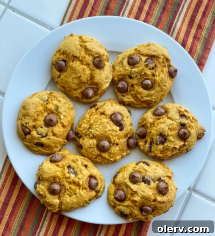 Easy 3-Ingredient Pumpkin Chocolate Chip Cookies 3 Close-up of freshly baked 3-ingredient pumpkin chocolate chip cookies on a cooling rack, showcasing their soft texture and melty chocolate chips.