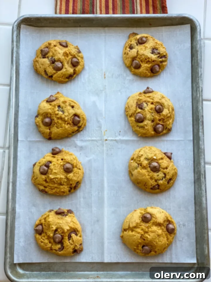 Easy 3-Ingredient Pumpkin Chocolate Chip Cookies 4 The simple three ingredients for pumpkin chocolate chip cookies laid out: a box of spice cake mix, a can of pumpkin puree, and a bag of chocolate chips.