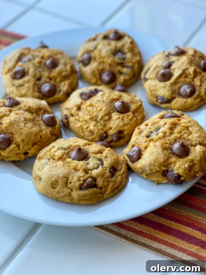 Easy 3-Ingredient Pumpkin Chocolate Chip Cookies 5 A freshly baked 3-ingredient pumpkin chocolate chip cookie cooling on a wire rack, with a soft, inviting texture.