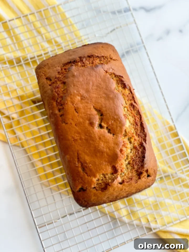 Tangy Twist Banana Loaf 5 Ingredients for sourdough banana bread laid out on a kitchen counter, ready for mixing