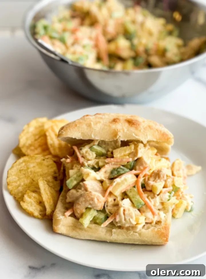 Aromatic Curry Chicken Salad 3 Serving of Curry Chicken Salad on a piece of bread