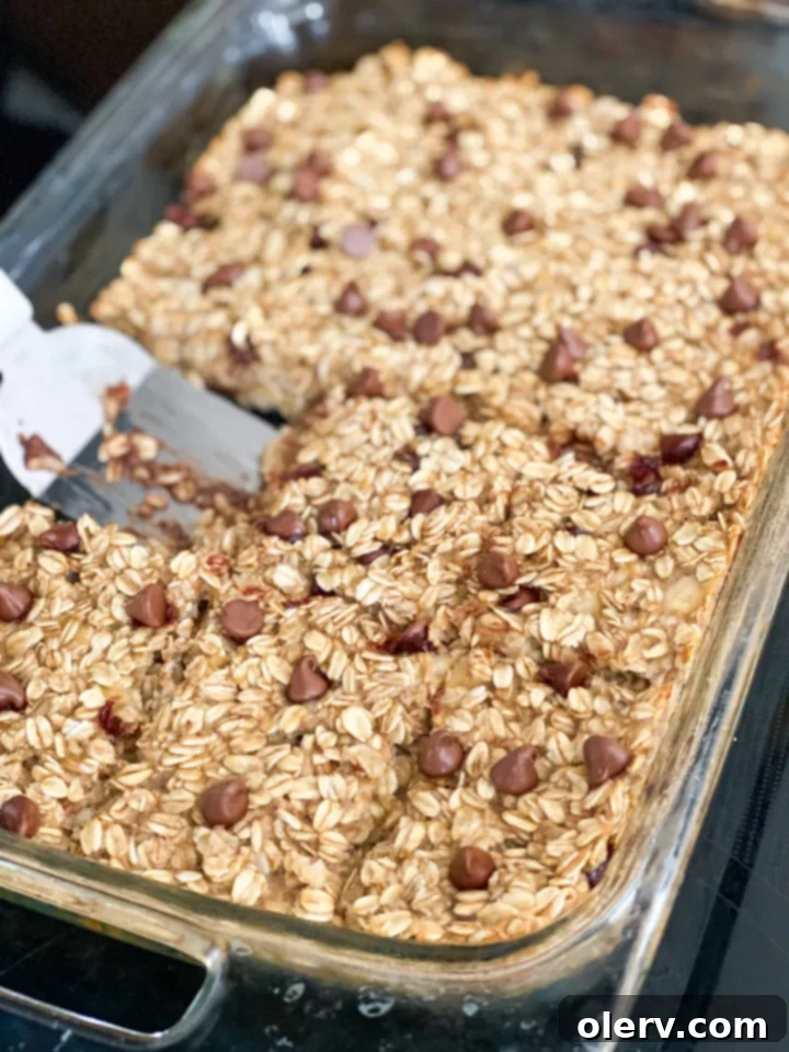 Golden Banana Baked Oats 3 Close-up of a pan of freshly baked banana oatmeal, highlighting its hearty texture and golden-brown top