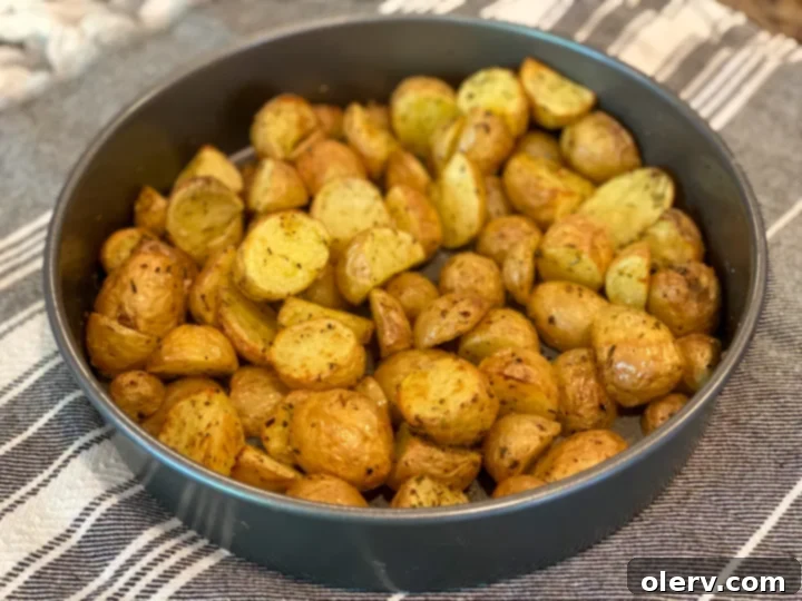 Crispy Air Fryer Roasted Potatoes 5 img 11792 4