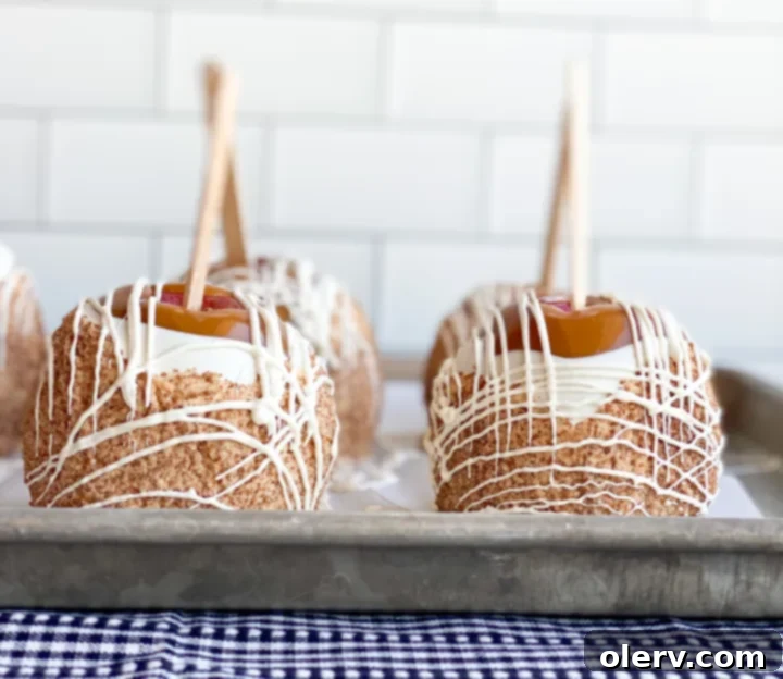 Easy Homemade Caramel Apples 5 Various toppings for caramel apples laid out