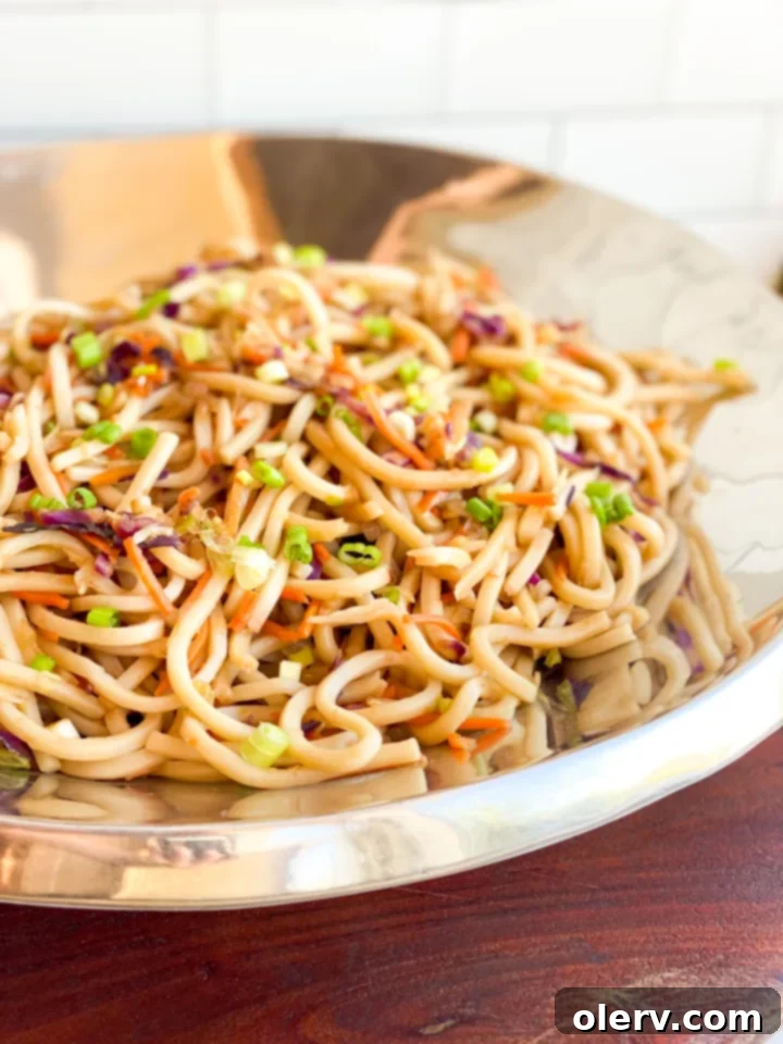 Irresistible Udon Stir-Fry 2 Delicious stir-fry udon noodles topped with fresh green onions in a pan, ready to serve.
