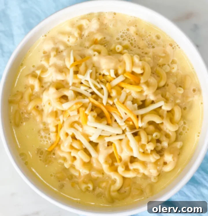 Creamy Instant Pot Mac and Cheese 6 A close-up shot of a serving of Instant Pot Mac and Cheese with a spoon, highlighting its creamy texture.
