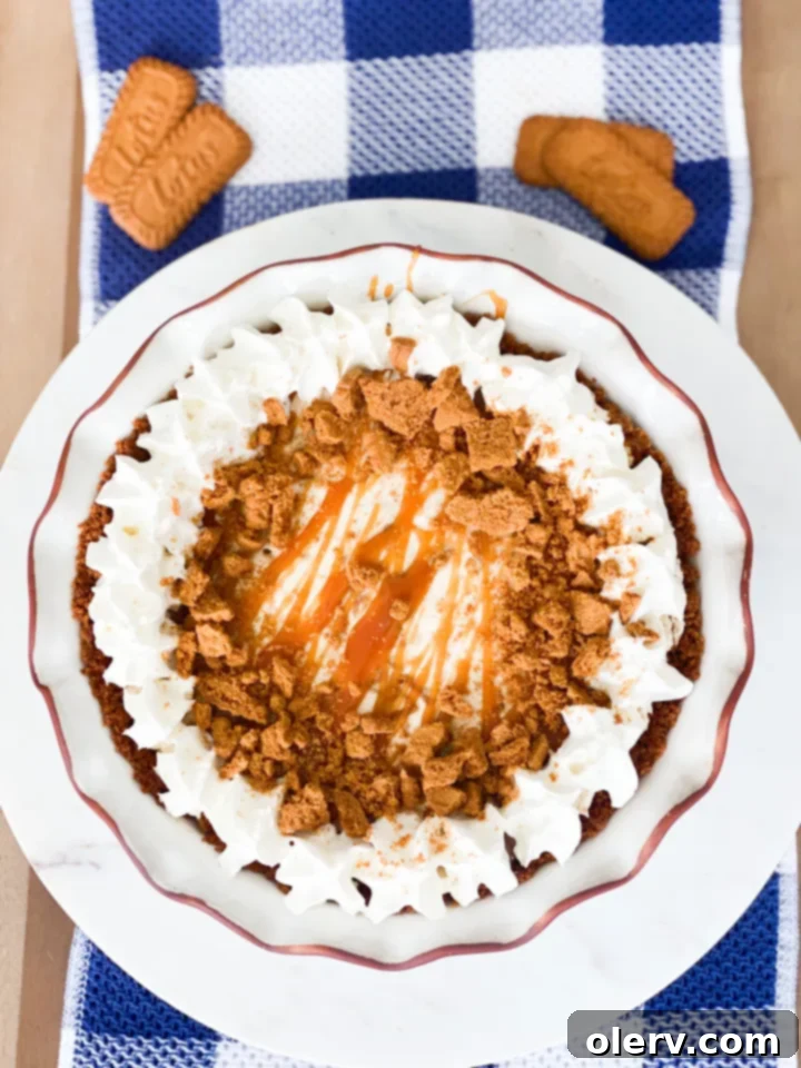 Ultimate Biscoff Cookie Pie 3 Biscoff Cookie Pie slice