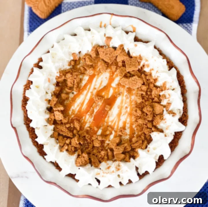 Ultimate Biscoff Cookie Pie 5 Close up of Biscoff Cookie Pie slice