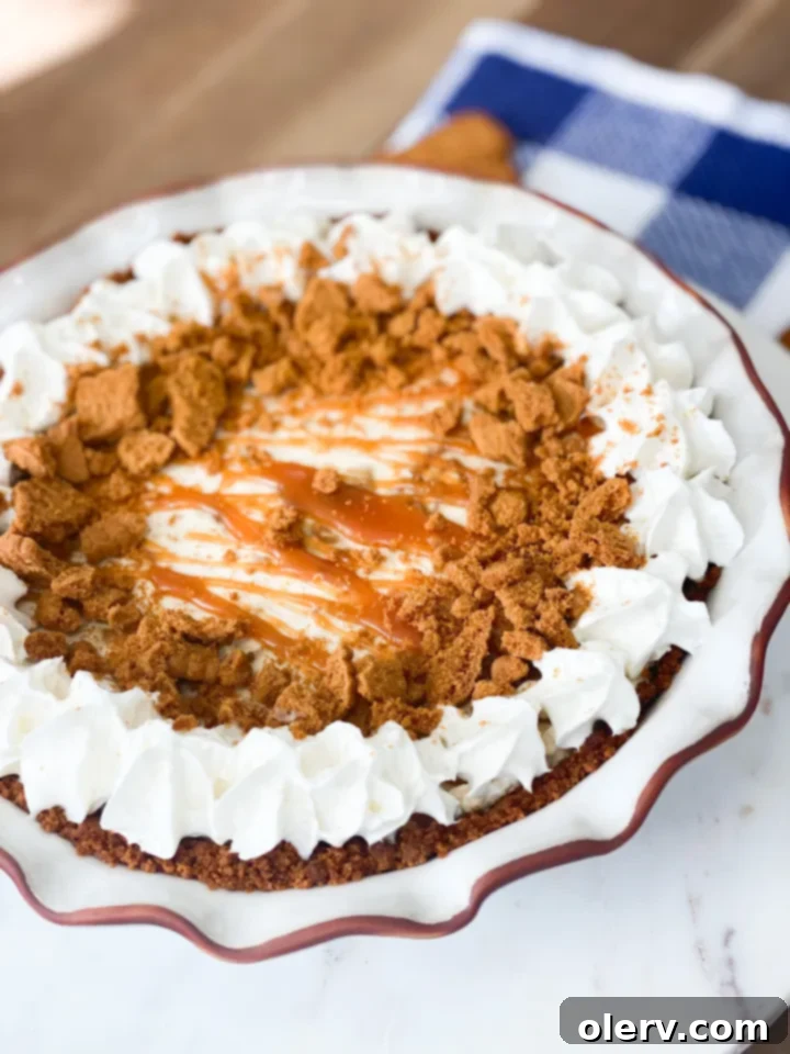 Ultimate Biscoff Cookie Pie 6 Biscoff Cookie Pie on a stand