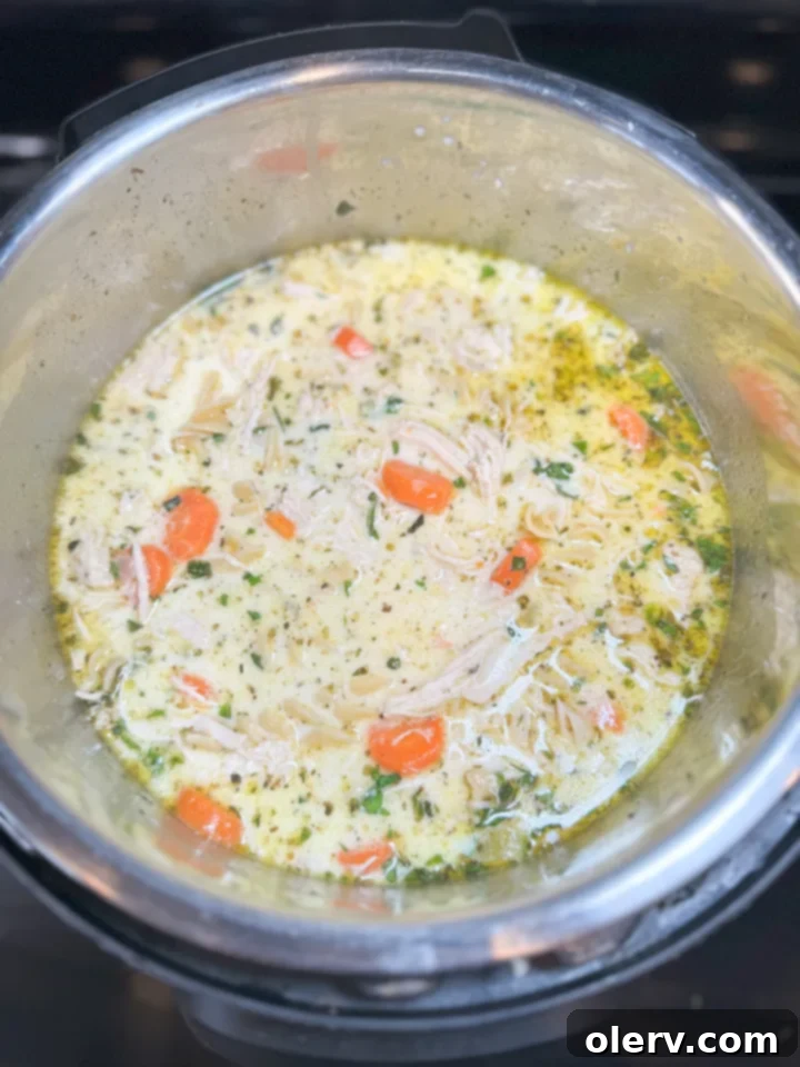Instant Pot Chicken Noodle Soup 4 Ingredients for Chicken Noodle Soup laid out before cooking in Instant Pot