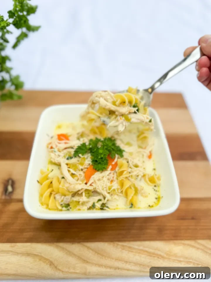 Instant Pot Chicken Noodle Soup 6 A bowl of Instant Pot Chicken Noodle Soup with fresh parsley garnish