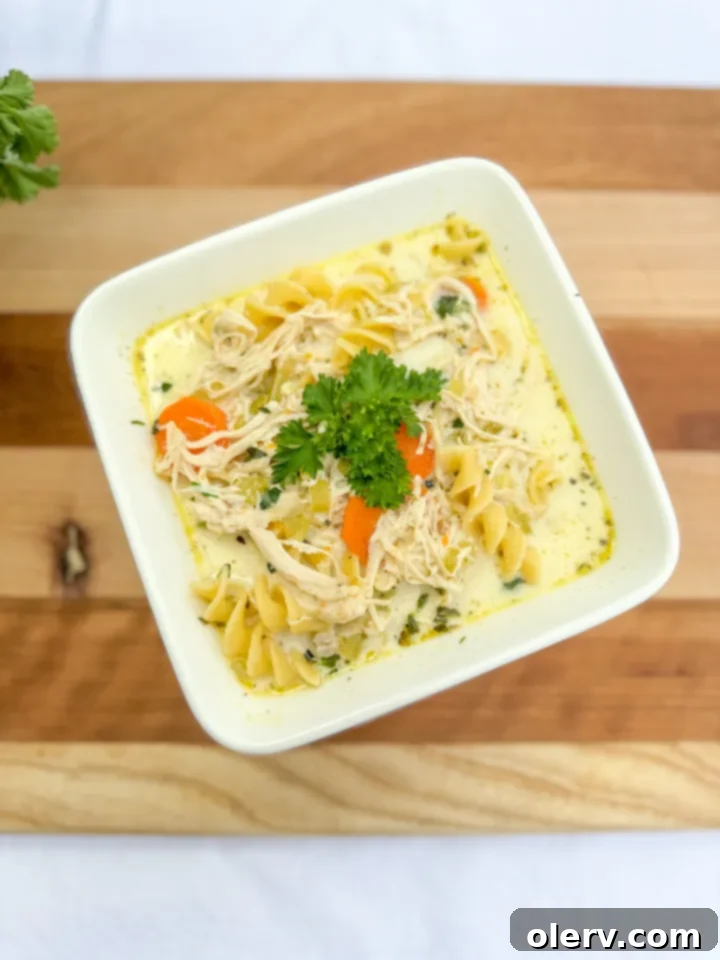 Instant Pot Chicken Noodle Soup 7 Homemade Chicken Noodle Soup with a spoon