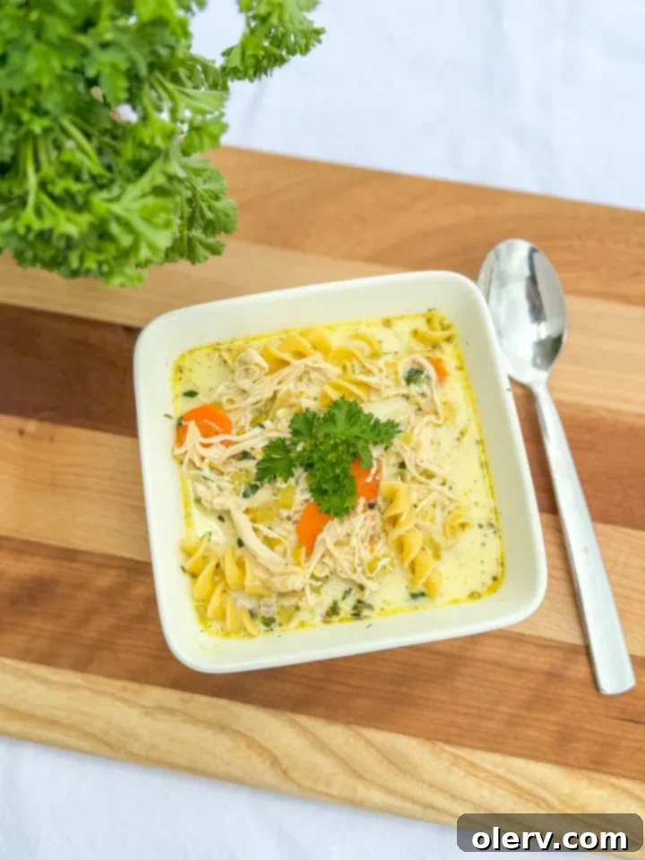 Instant Pot Chicken Noodle Soup Recipe Card