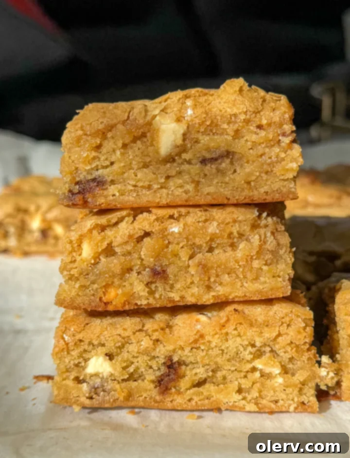 Golden Chewy Blondies 4 Overhead shot of freshly baked biscoff blondies in a 13x9 baking pan, cooling on a wire rack