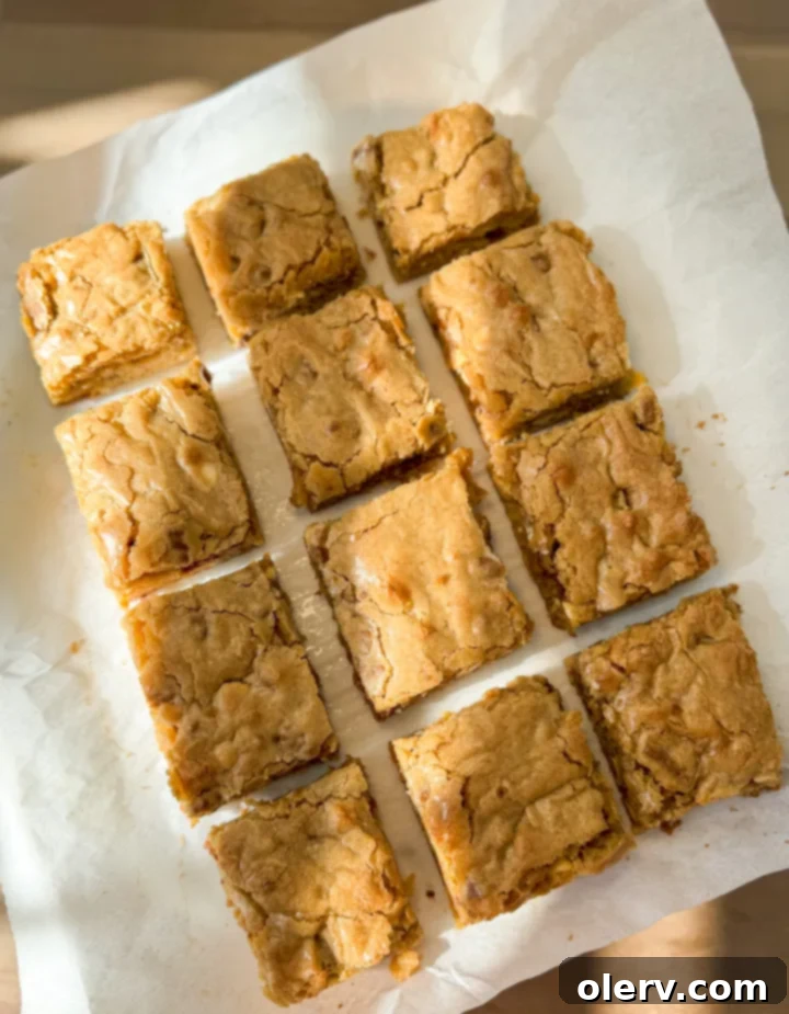 Golden Chewy Blondies 5 Ingredients for biscoff blondies including flour, sugars, butter, eggs, vanilla, white chocolate chips, and biscoff cookies