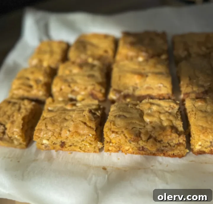 Golden Chewy Blondies 6 Blondie batter mixed with white chocolate chips and biscoff cookies in a mixing bowl