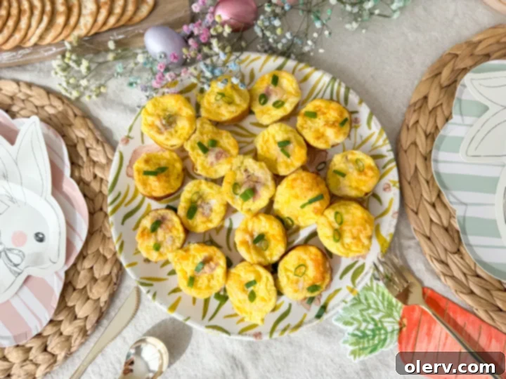 Petite Quiche Bites 3 A tray of freshly baked mini quiches in a muffin tin, showing their golden tops and flaky crusts.
