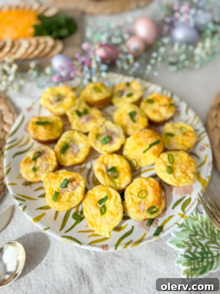 Petite Quiche Bites 4 Another close-up of a single mini quiche, showcasing the fluffy egg filling and bits of ham and cheese.