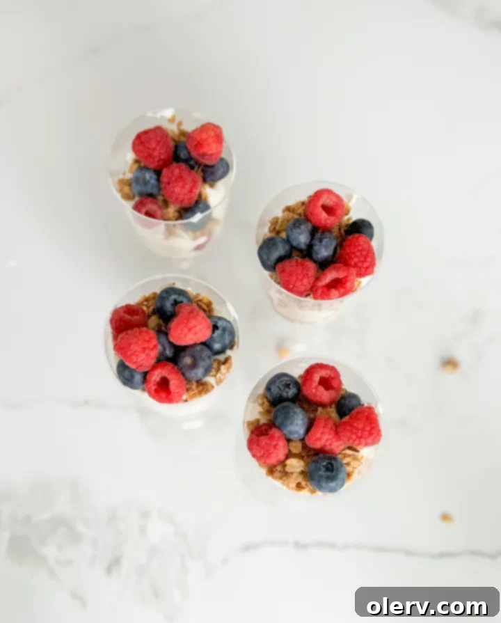 Layered Parfait Perfection 5 A close-up shot of the fresh ingredients for parfaits: Greek yogurt, peanut butter granola, and mixed berries