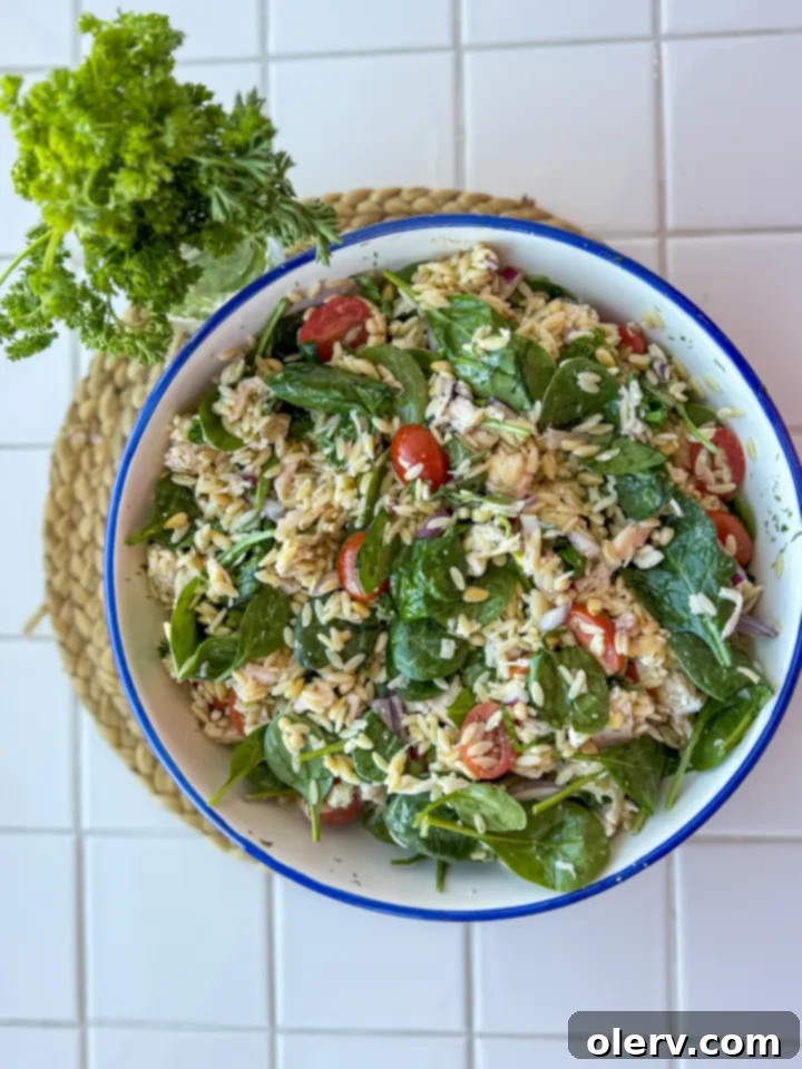 Fresh Orzo Salad 3 A close-up shot of the colorful Orzo Salad, highlighting the fresh ingredients.