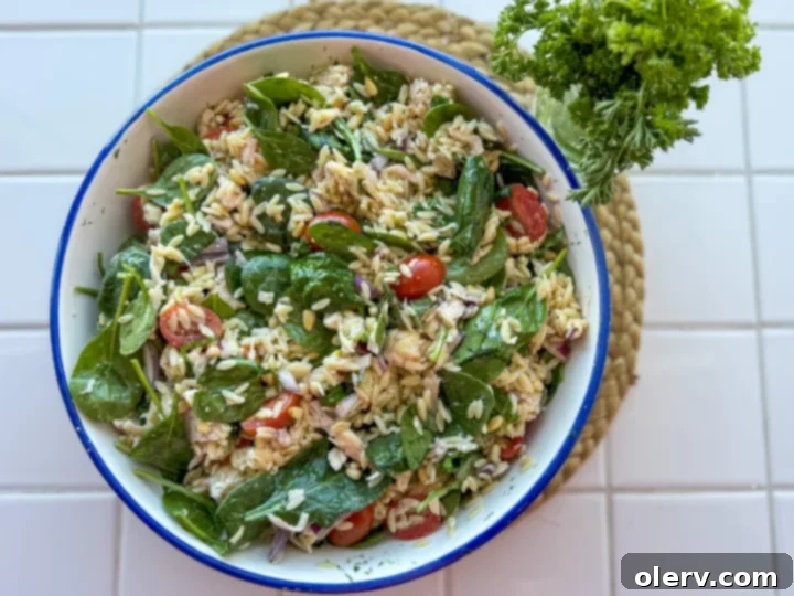 Fresh Orzo Salad 4 Ingredients for the lemon dill dressing, including olive oil, lemon, salt, pepper, and fresh dill.