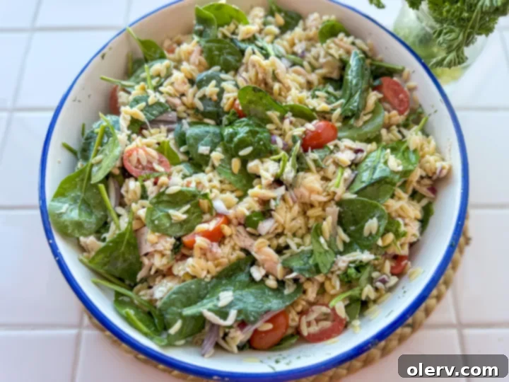 Fresh Orzo Salad 5 A finished bowl of Lemon Herb Chicken Orzo Salad, ready to be served.