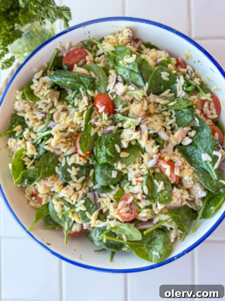 Fresh Orzo Salad 6 Orzo Salad Recipe