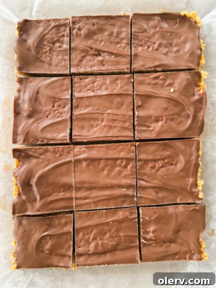Irresistible No-Bake Scotcheroo Bars 4 Scotcheroo bars in a pan, half of them cut, showcasing the thick chocolate and butterscotch topping.