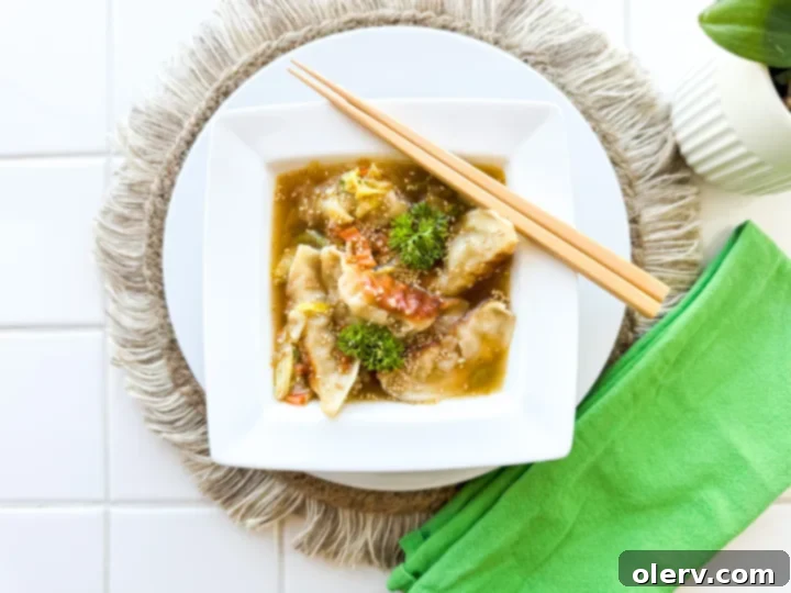 Sizzled Dumpling Soup 6 A bowl of freshly made potsticker soup, ready to be enjoyed.