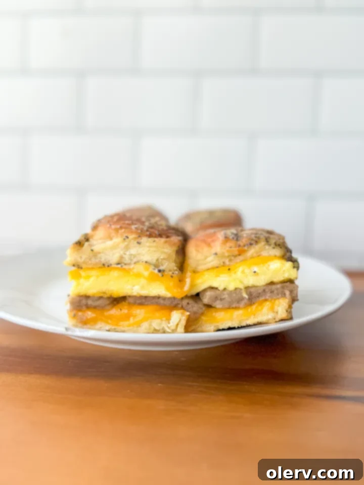 Irresistible Ham and Cheese Bites 6 Cooked Hot Ham and Cheese Sliders