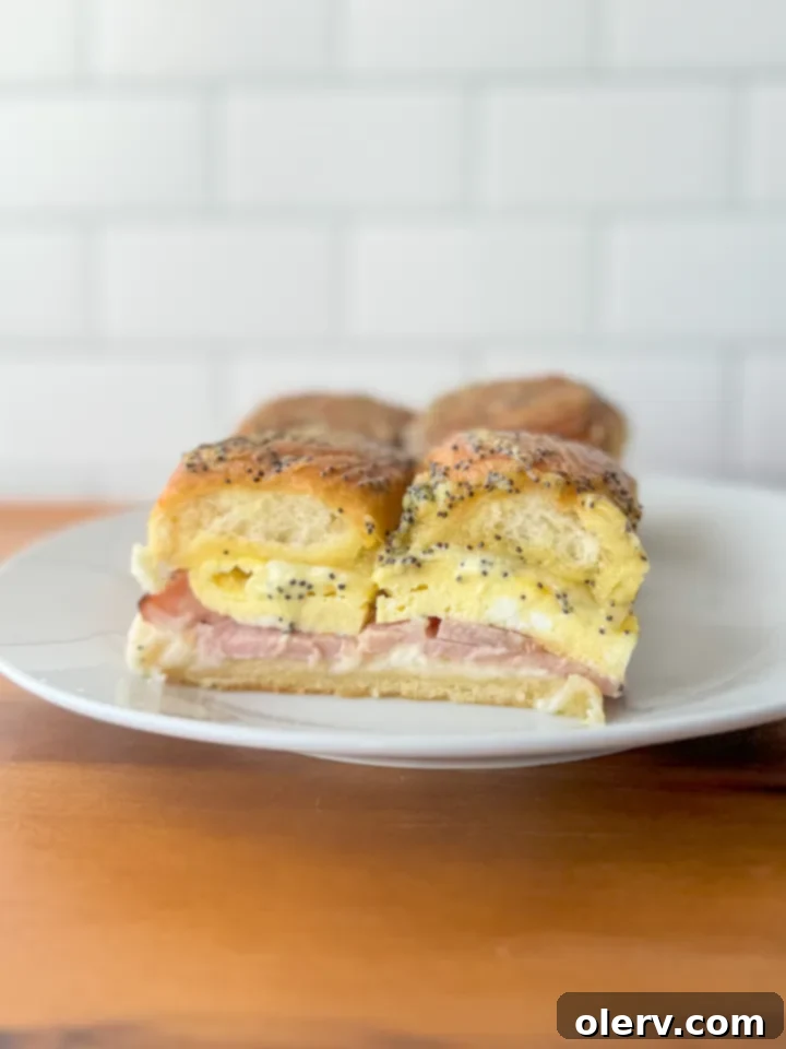 Irresistible Ham and Cheese Bites 7 Hot Ham and Cheese Sliders ready to serve