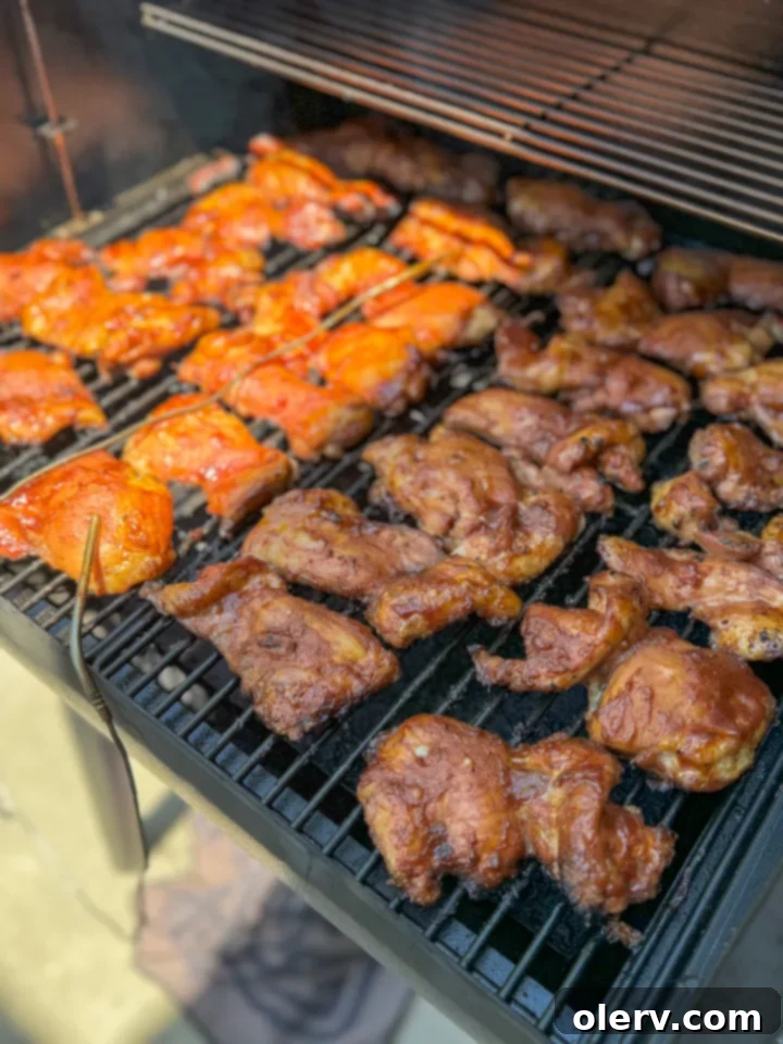 Slow-Smoked BBQ Perfection 5 chicken thighs seasoned with dry rub