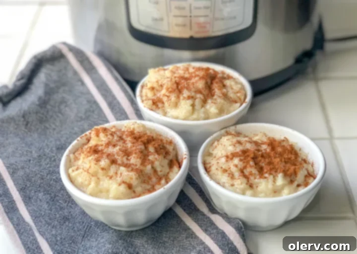 Easy Creamy Instant Pot Rice Pudding 2 Creamy Instant Pot Rice Pudding garnished with cinnamon