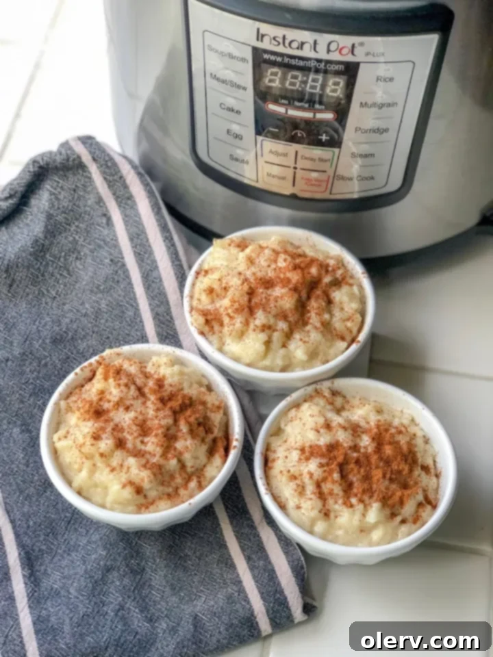 Easy Creamy Instant Pot Rice Pudding 3 Close-up of Instant Pot Rice Pudding in a bowl, showing its creamy texture
