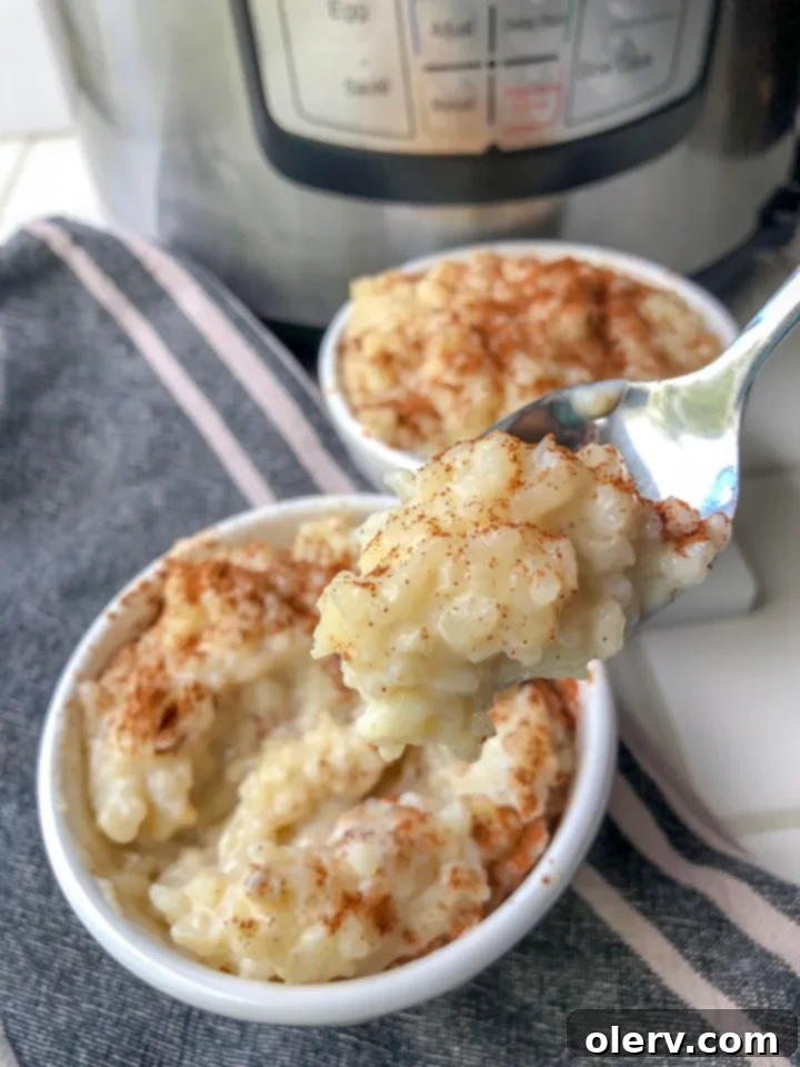 Easy Creamy Instant Pot Rice Pudding 4 Ingredients for Instant Pot Rice Pudding laid out next to the Instant Pot