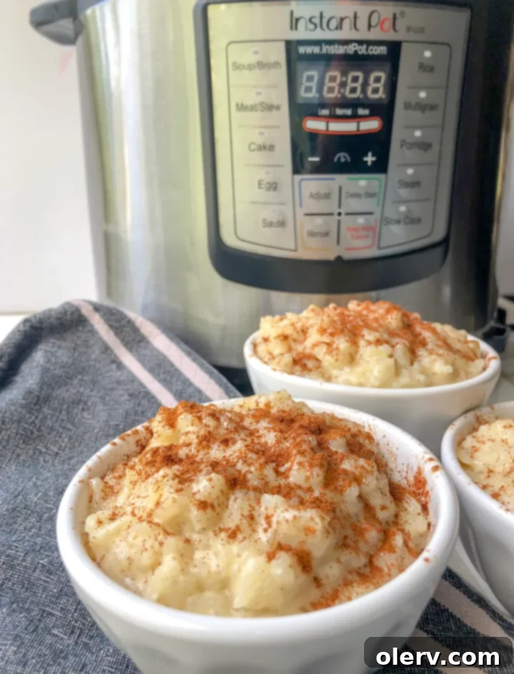 Easy Creamy Instant Pot Rice Pudding 5 Uncooked long grain white rice, ideal for rice pudding