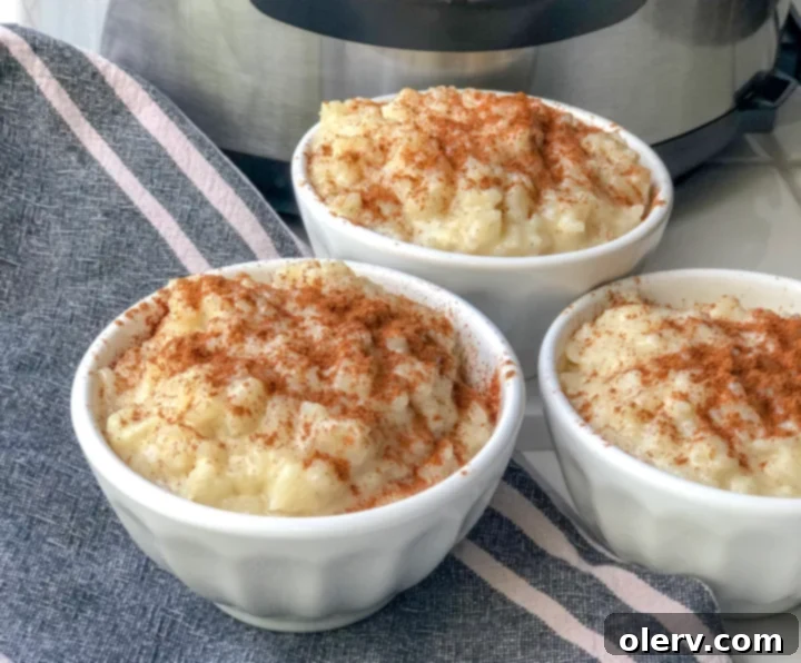 Easy Creamy Instant Pot Rice Pudding 6 A bowl of creamy Rice Pudding, ready to be enjoyed