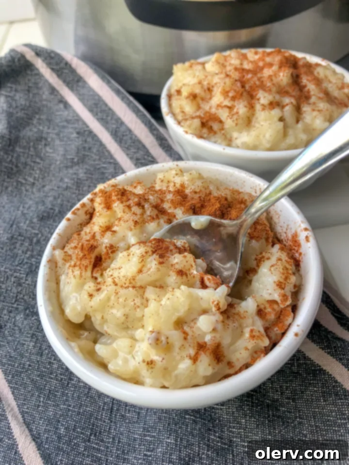 Easy Creamy Instant Pot Rice Pudding 7 A bowl of Instant Pot Rice Pudding garnished with extra cinnamon