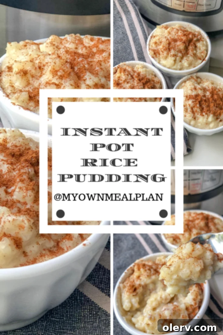 Instant Pot Rice Pudding Pinterest image