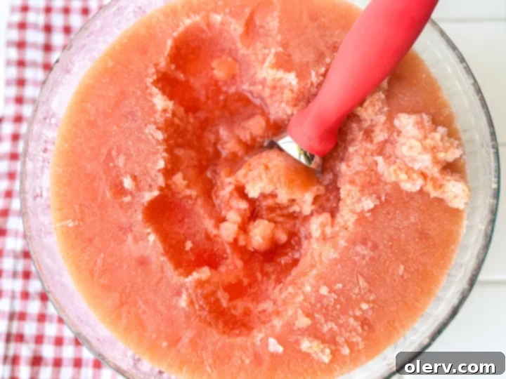 Summer Chill Sip 5 All essential ingredients for the frozen summer slush recipe laid out on a table