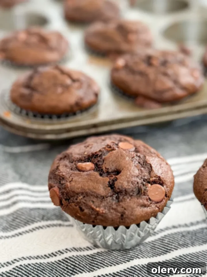 Decadent Chocolate Zucchini Muffins 4 Muffin batter with chocolate chips and grated zucchini in a mixing bowl