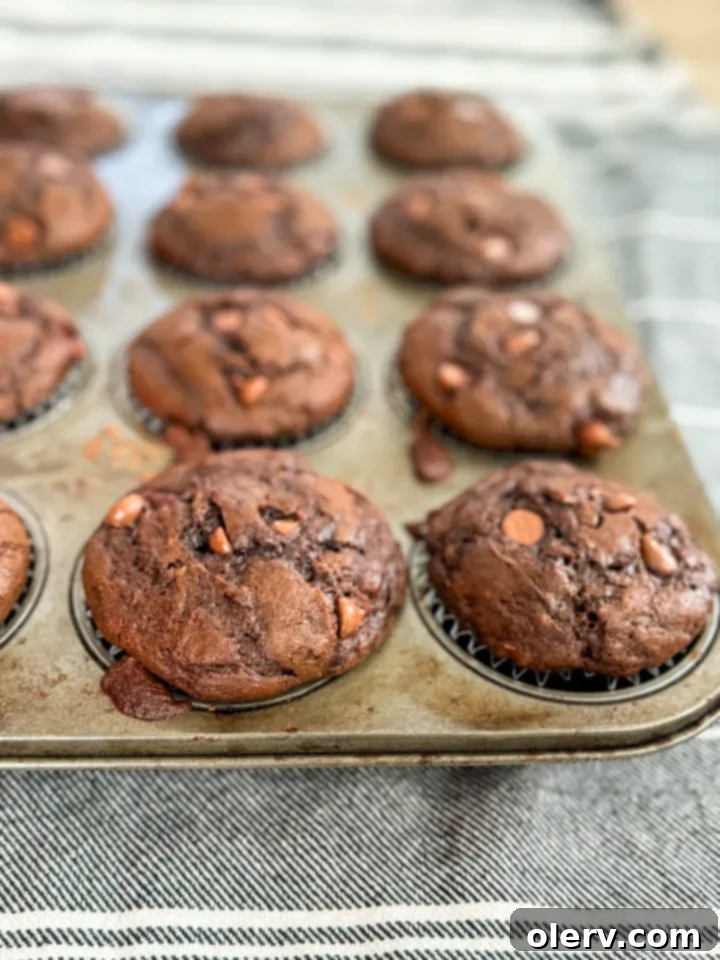 Decadent Chocolate Zucchini Muffins 6 A plate of Chocolate Zucchini Muffins with a glass of milk