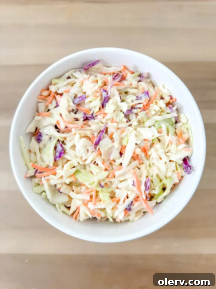 Rainbow Coleslaw 3 Tricolor Coleslaw Ingredients